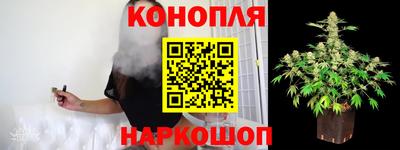 jwh Аргун
