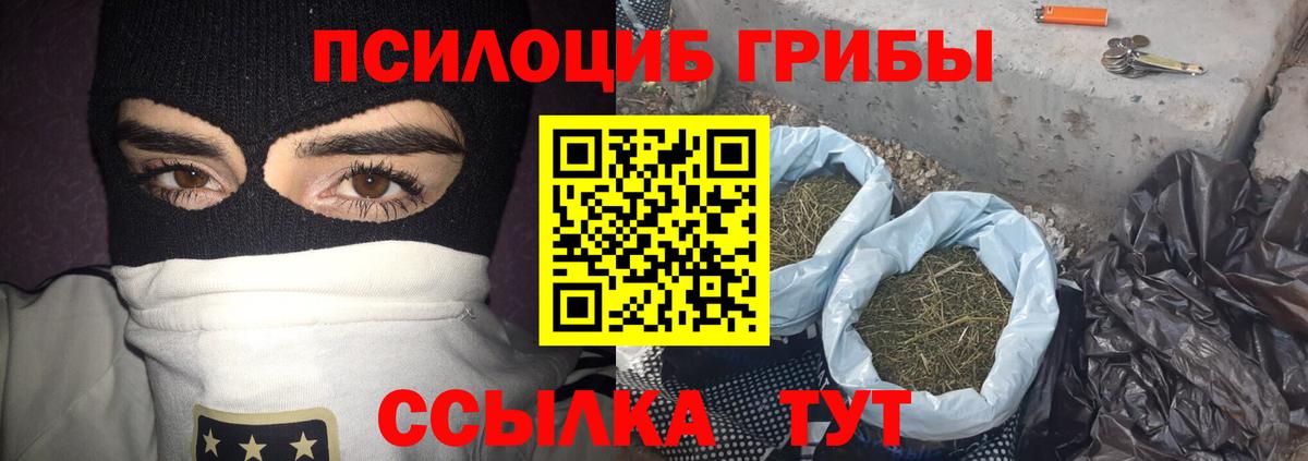 Волжский  Псилоцибиновые грибы мухоморы  наркошоп  Вход с VPN  Псилоцибиновые грибы прущие грибы 