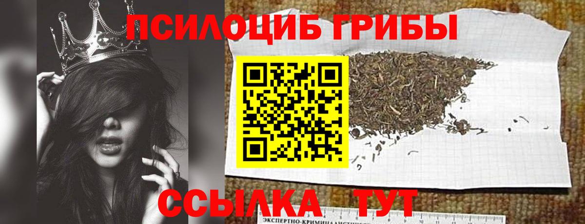Псилоцибиновые грибы мицелий Волжский